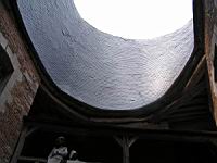 Saint-Fargeau, Chateau, Toiture (090)